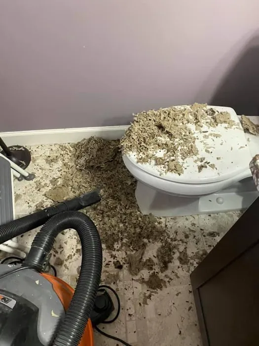 Jackson Pest Management LLC Picture 7