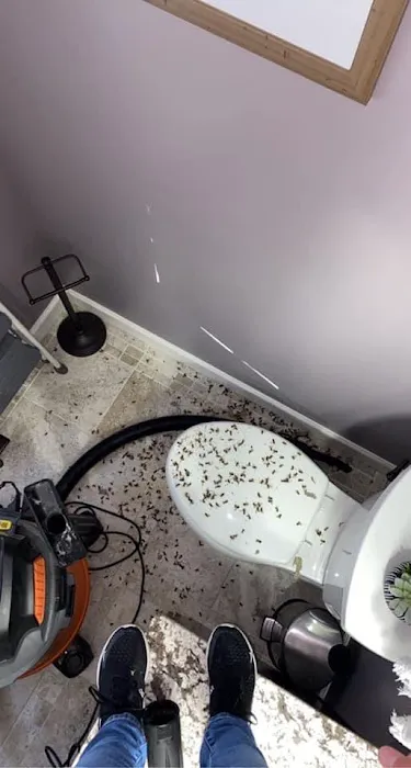 Jackson Pest Management LLC Picture 5