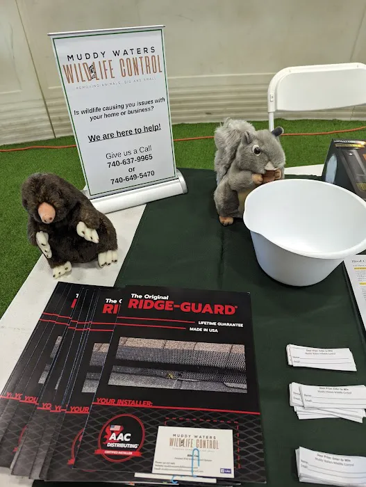 Muddy Waters Wildlife Control Picture 9