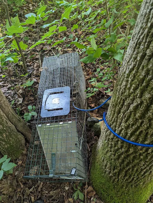 Muddy Waters Wildlife Control Picture 6