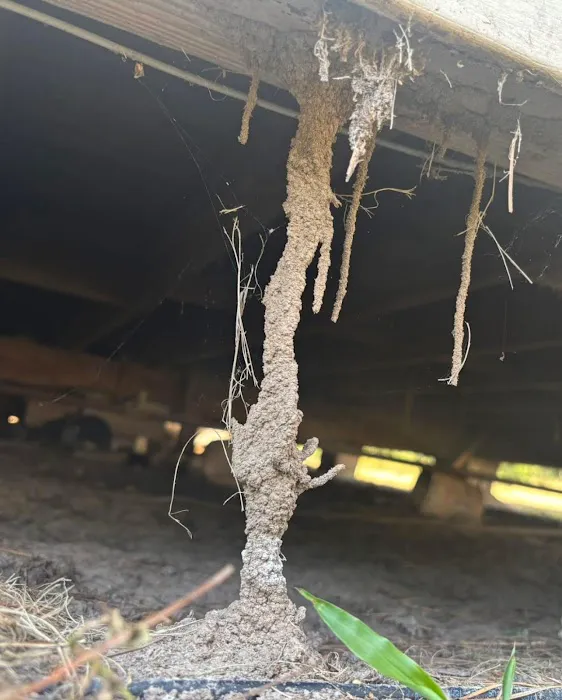 Convenient Termite & Pest Control Picture 3