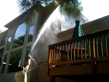 X-Vector Pest Services Picture 2