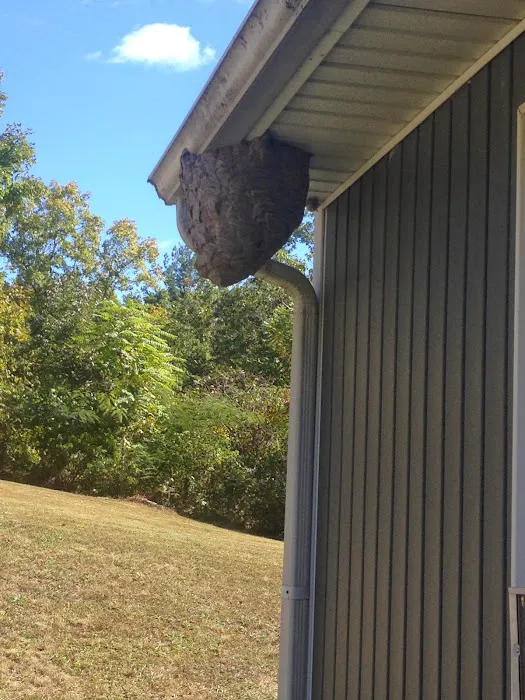 Bee Gone Pest Control Picture 1