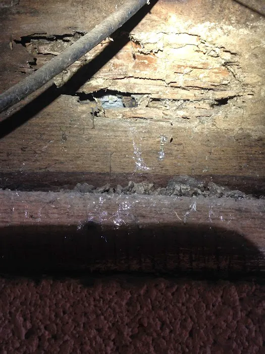 Bee Gone Pest Control Picture 3