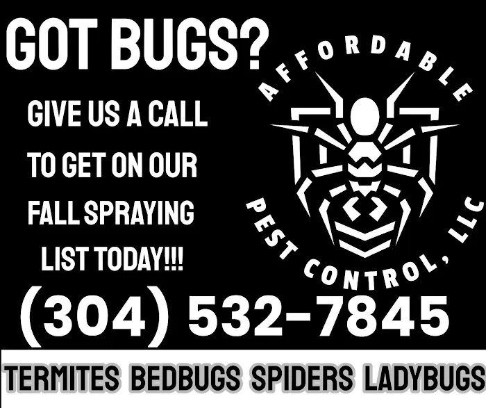 Affordable Pest Control Picture 2
