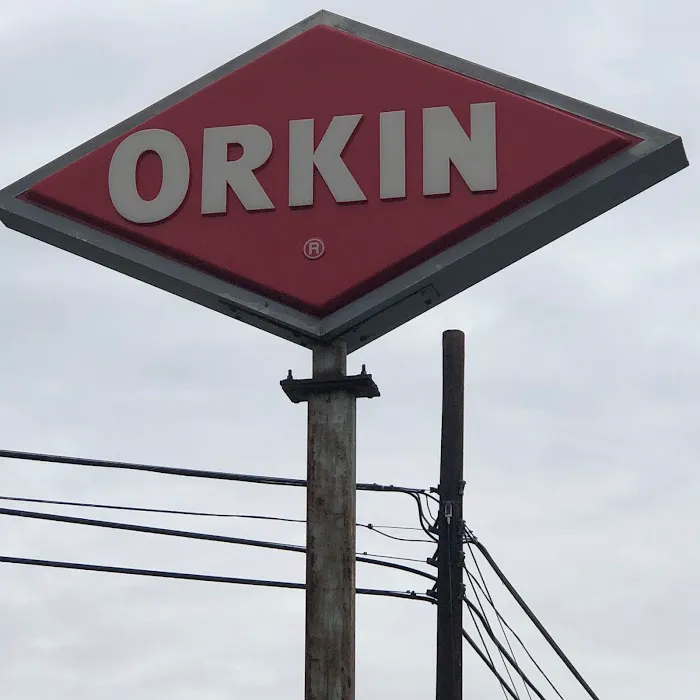 Orkin Picture 3