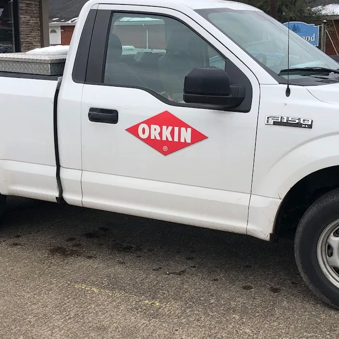 Orkin Picture 10