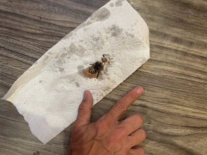 Eastern-Burkholder Exterminators Inc Picture 3