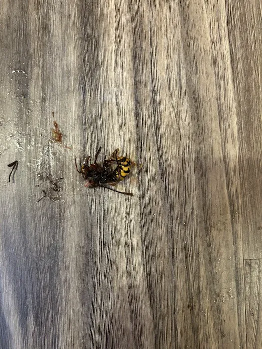 Eastern-Burkholder Exterminators Inc Picture 2