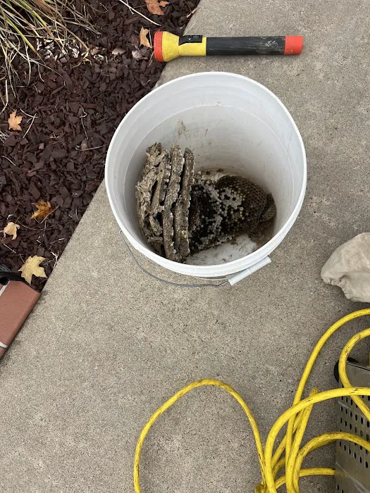 Lamp Pestproof & Wildlife Control Picture 9