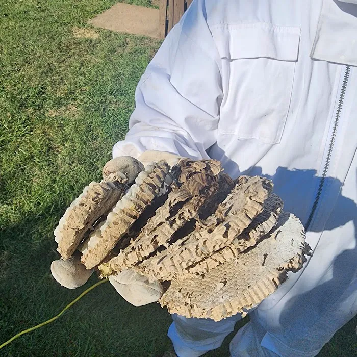Lamp Pestproof & Wildlife Control Picture 3