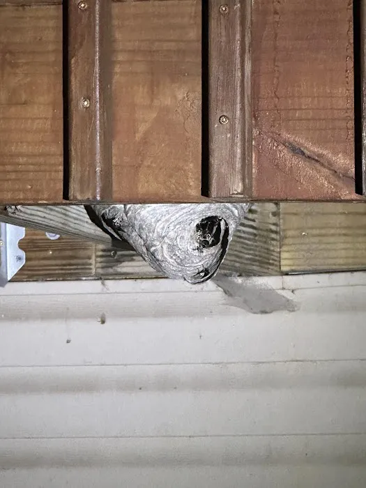 Lamp Pestproof & Wildlife Control Picture 8