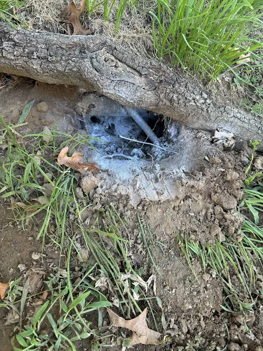 Lamp Pestproof & Wildlife Control Picture 1