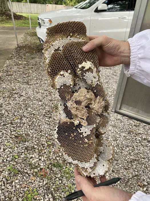 Lamp Pestproof & Wildlife Control Picture 6