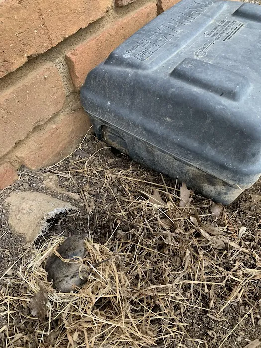 Lamp Pestproof & Wildlife Control Picture 2