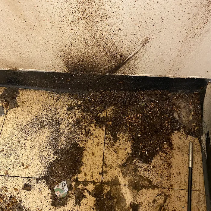 Appalachian Pest Control Picture 8