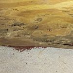 Appalachian Pest Control