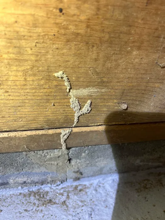 Appalachian Pest Control Picture 10