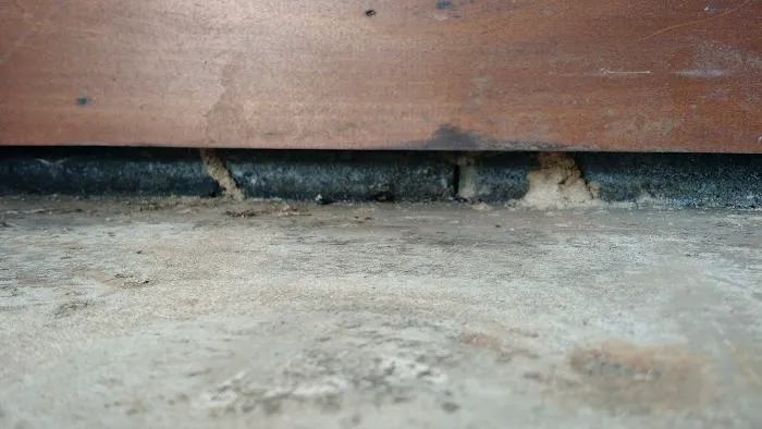 Ultra Pest Control Picture 7