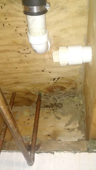 Ultra Pest Control Picture 3