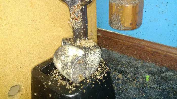 Ultra Pest Control Picture 8