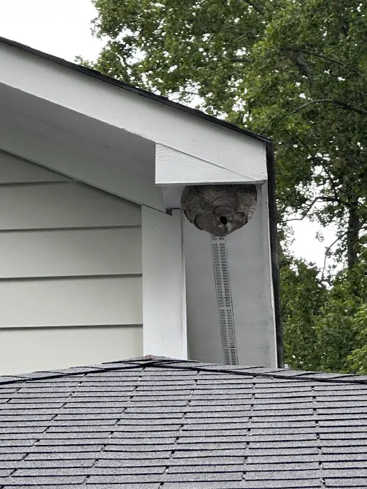 Vantage Pest Solutions Picture 5