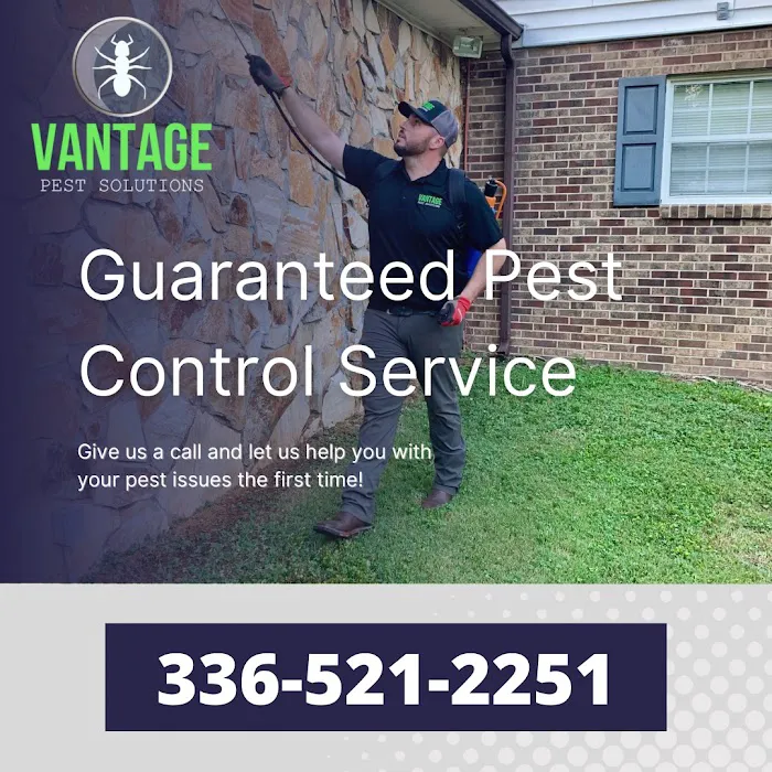 Vantage Pest Solutions Picture 1