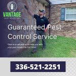 Vantage Pest Solutions