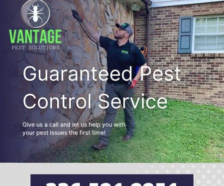 Vantage Pest Solutions