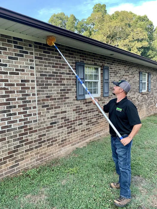 Vantage Pest Solutions Picture 4