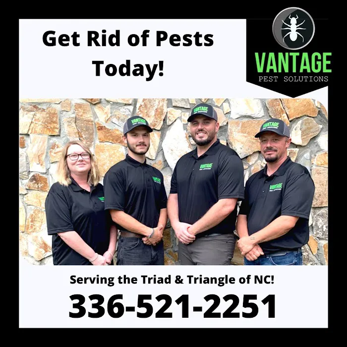 Vantage Pest Solutions Picture 2