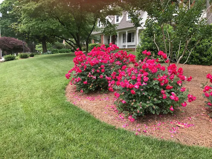 Nature's Select® Picture 3