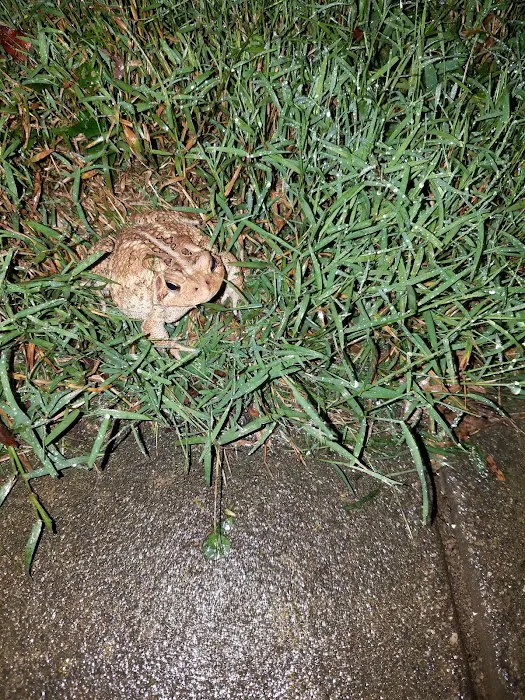 A.P.T. Termite and Pest Control Picture 9