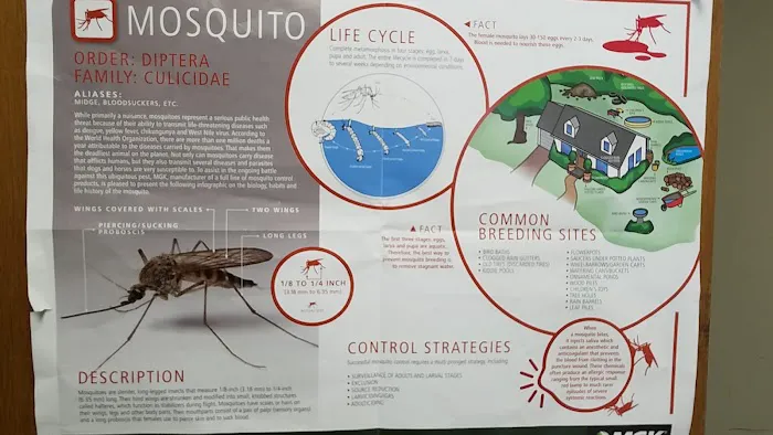 A.P.T. Termite and Pest Control Picture 3