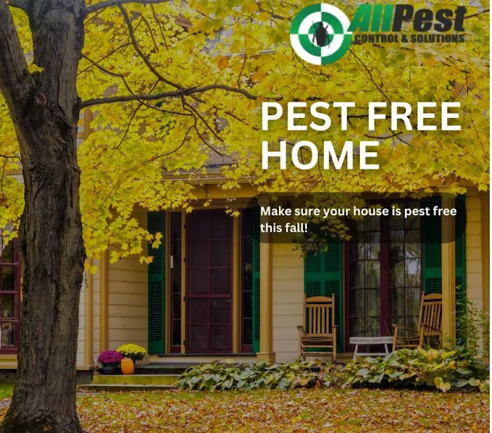 All Pest Control Inc Picture 10