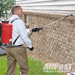 All Pest Control Inc Picture 5