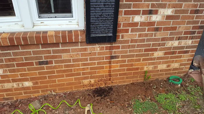 A Bugman Termite & Pest Control Picture 6