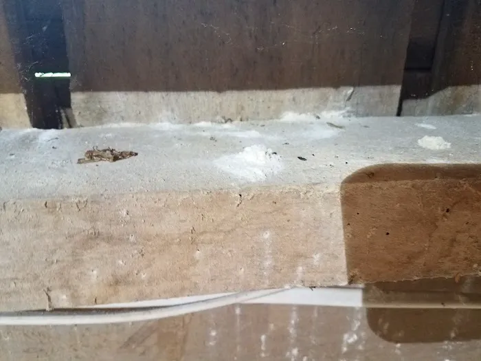 A Bugman Termite & Pest Control Picture 8