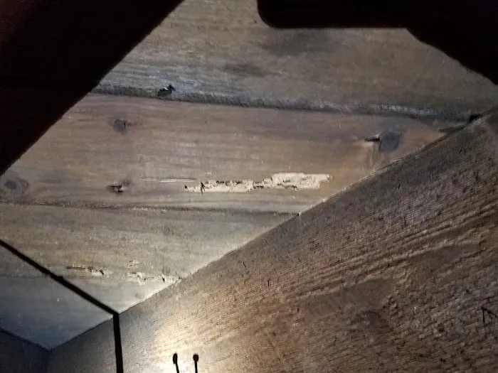 A Bugman Termite & Pest Control Picture 10