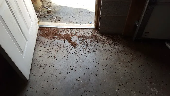 A Bugman Termite & Pest Control Picture 7