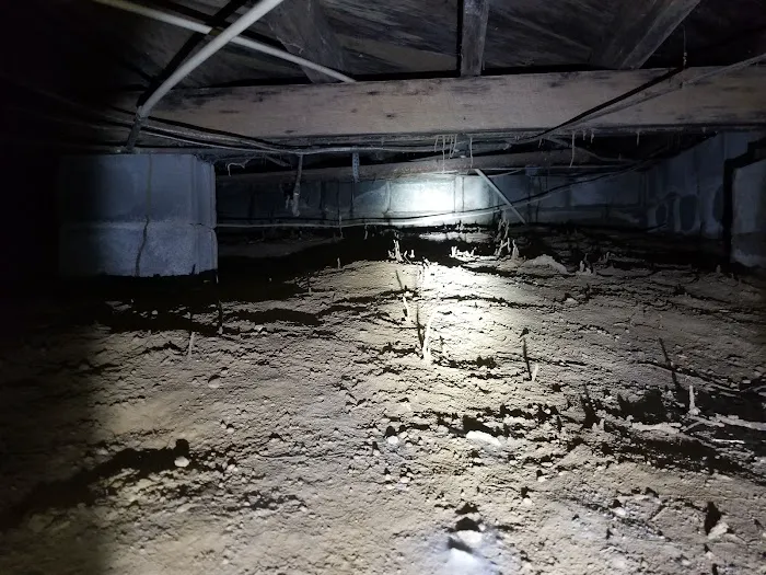 A Bugman Termite & Pest Control Picture 3