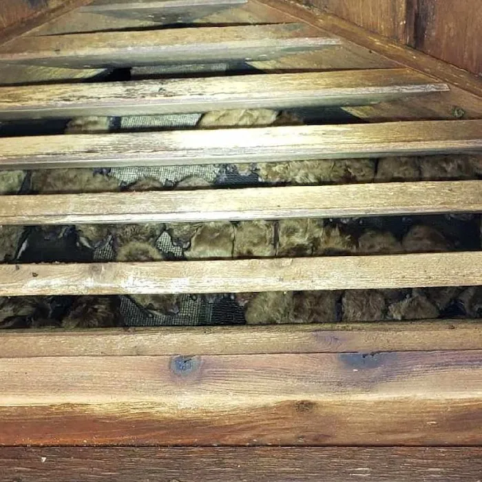 A Better Way Pest Control Picture 10