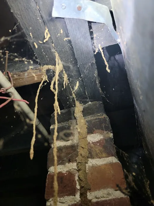 A Better Way Pest Control Picture 1