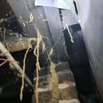 A Better Way Pest Control