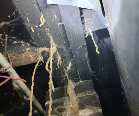 A Better Way Pest Control