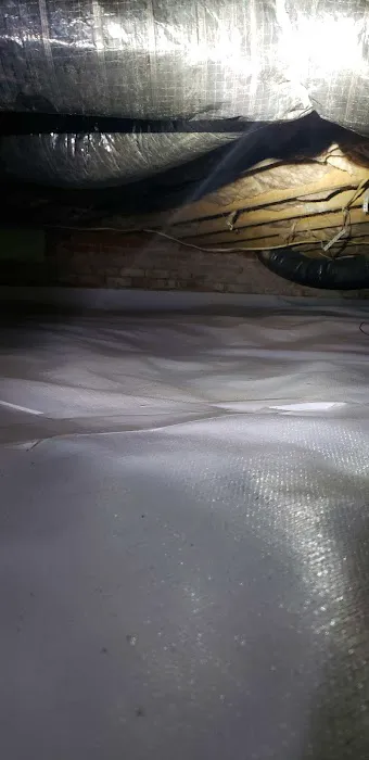 A Better Way Pest Control Picture 8