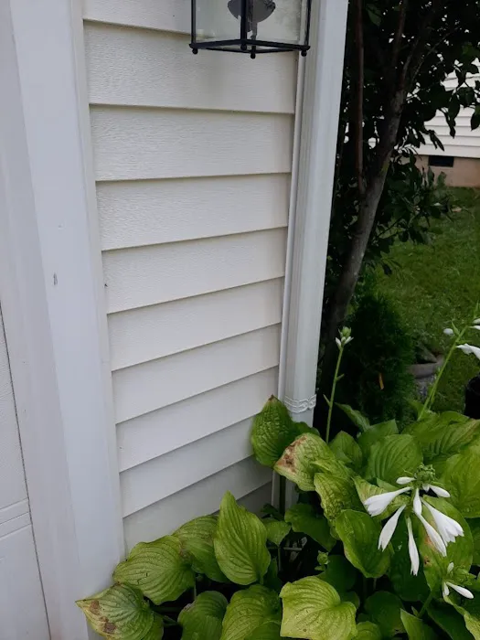A-1 Pest Control Picture 9