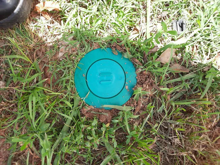 A-1 Pest Control Picture 5