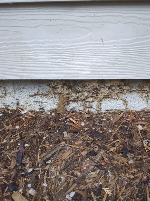 A-1 Pest Control Picture 4
