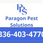Paragon Pest Solutions